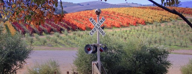 California Life Discovers Unique Ways to Explore Paso Robles Wine Country