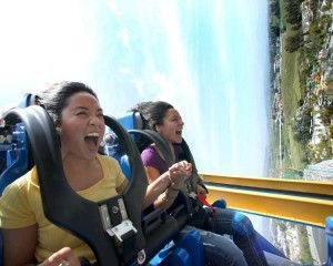 coaster
