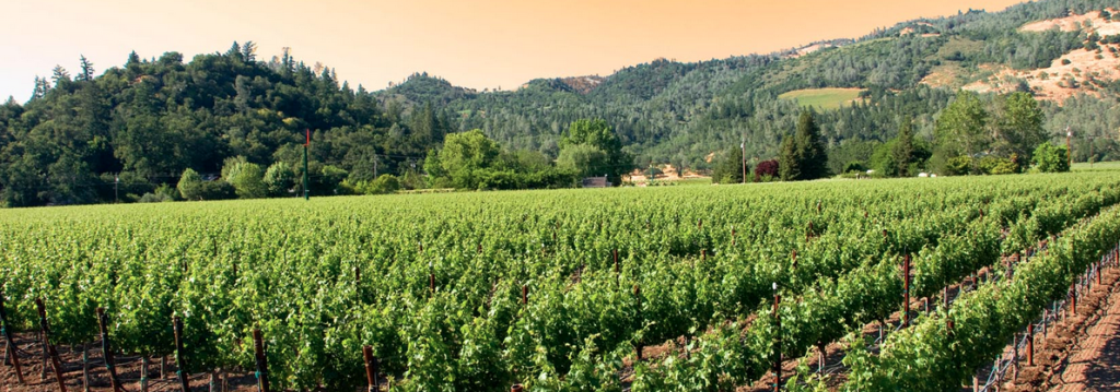 California Life Shows You How Paso Robles is Making a Name for Itself Among Foodies