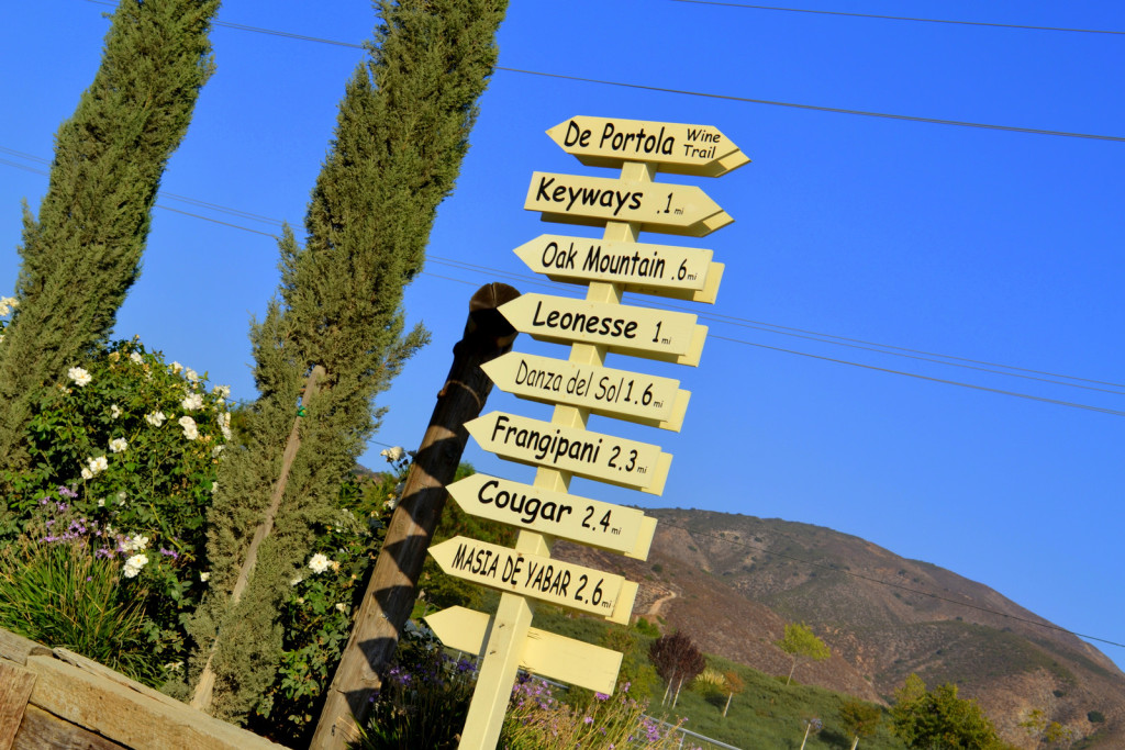 California Wine Month, Curved TVs & Making it in the Beer Biz This Week on California Life!