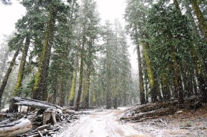 IMG_0617_720x478_72_RGB