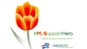 supporthero1