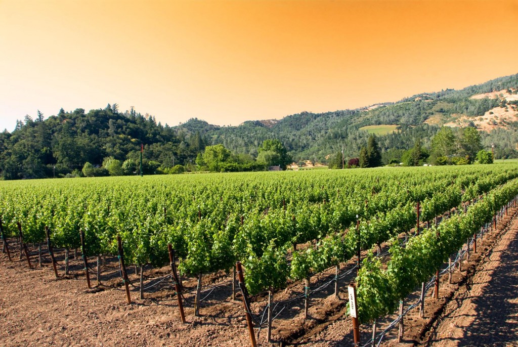 California wineries celebrate “Down to Earth Month”