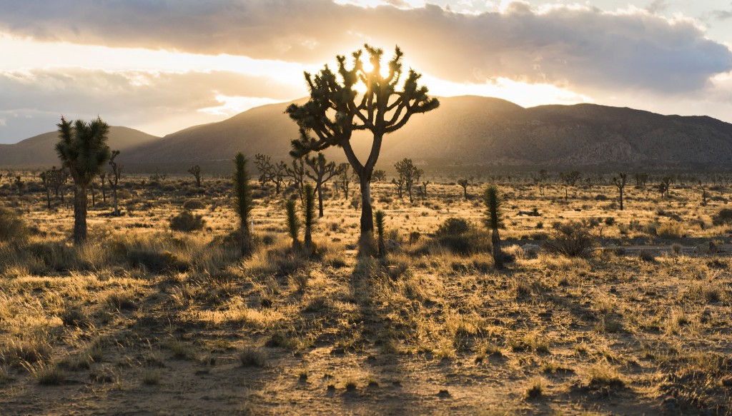 Hot ideas for summer travel in California