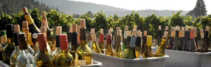 Escape to Mendocino Wine Country