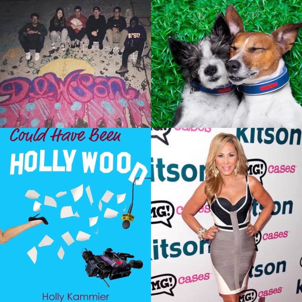 The charity #LoveLikeDawson helping children in poverty goes viral & Bark Bash 2017 finds precious pets their forever homes