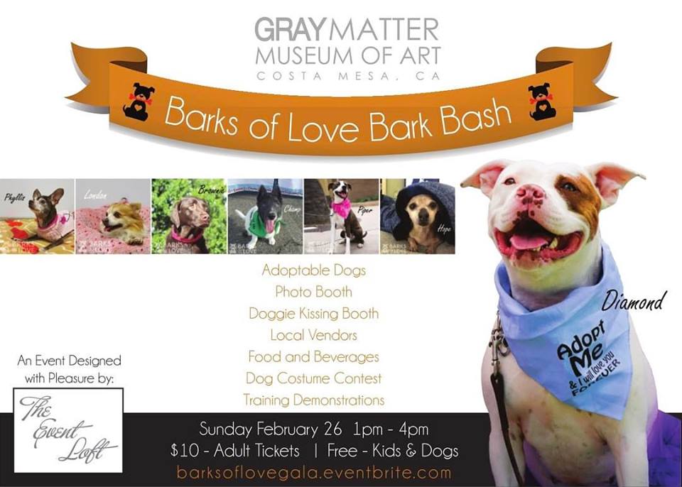 Barks of Love Animal Rescue hosts Bark Bash finding precious pets their forever homes