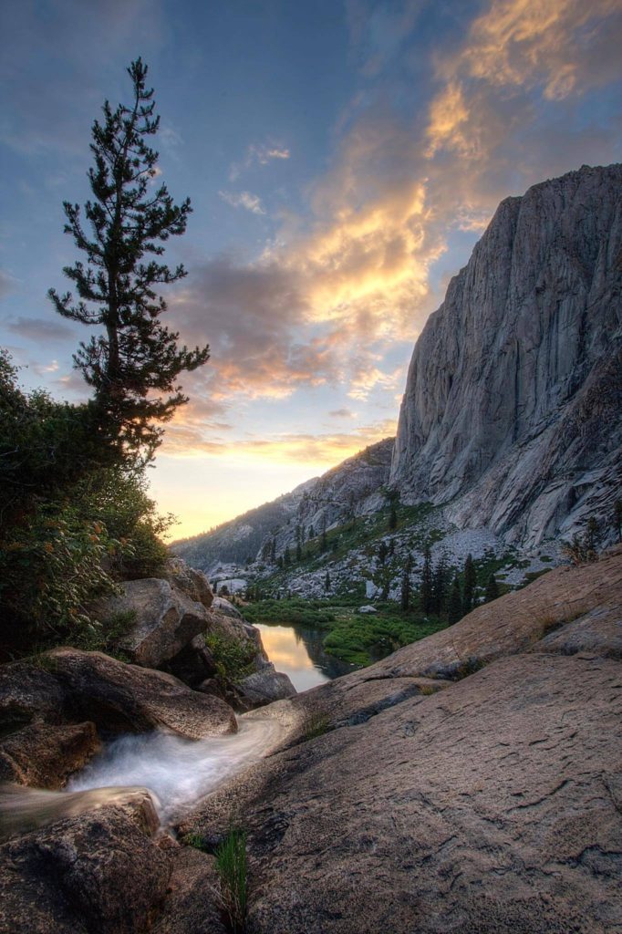 Veterans get back to their roots at Sequoia National Park, but this time the troops are protecting more than nature – their marriages
