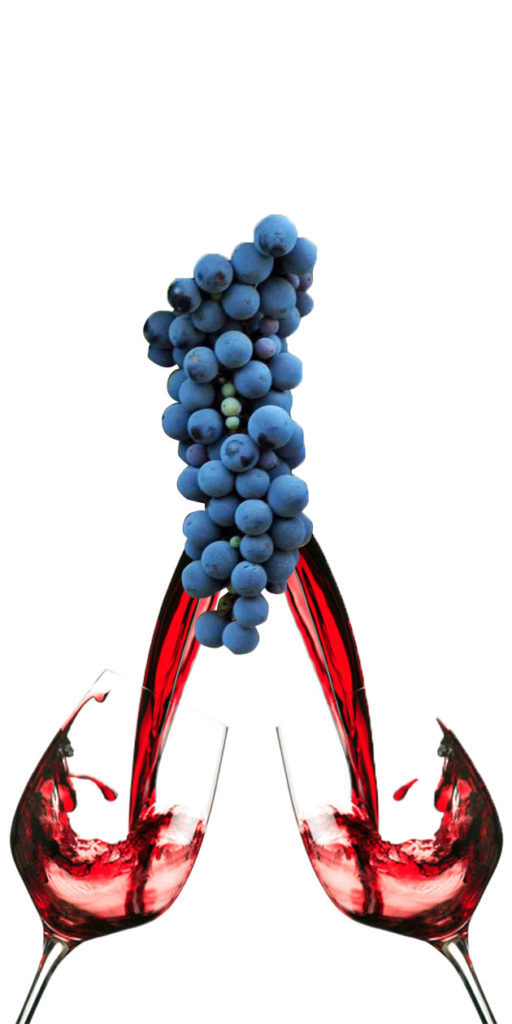 Syrah v. Shiraz: What differentiates these two wines that come from the same grape?