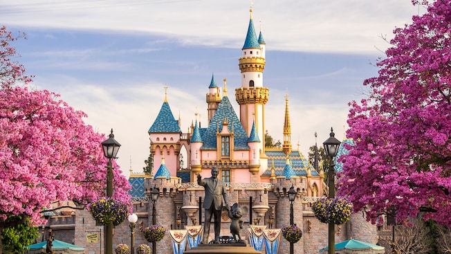 Surprising new trends and updates are always surfacing at The Happiest Place on Earth