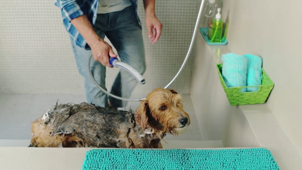 Turn your shower into a spa experience perfect for every member of the family