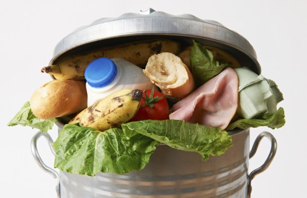 Leftovers in Landfills: How Uneaten Food Impacts the Environment