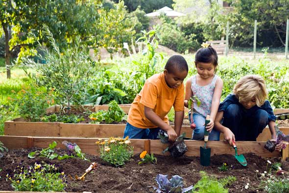 California students “go green” with new environmental programs