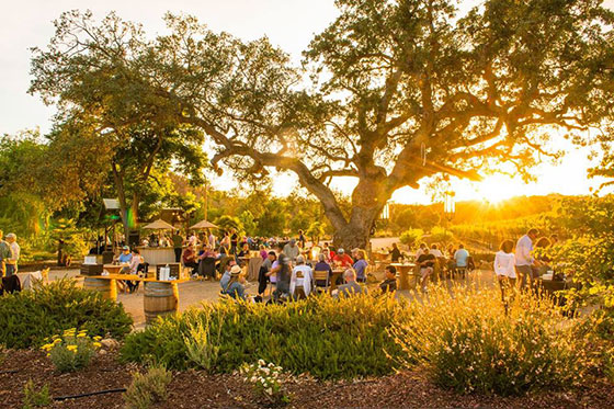Travel to Paso Robles, Save Money on Holiday Shopping and More – This Week on California Life!
