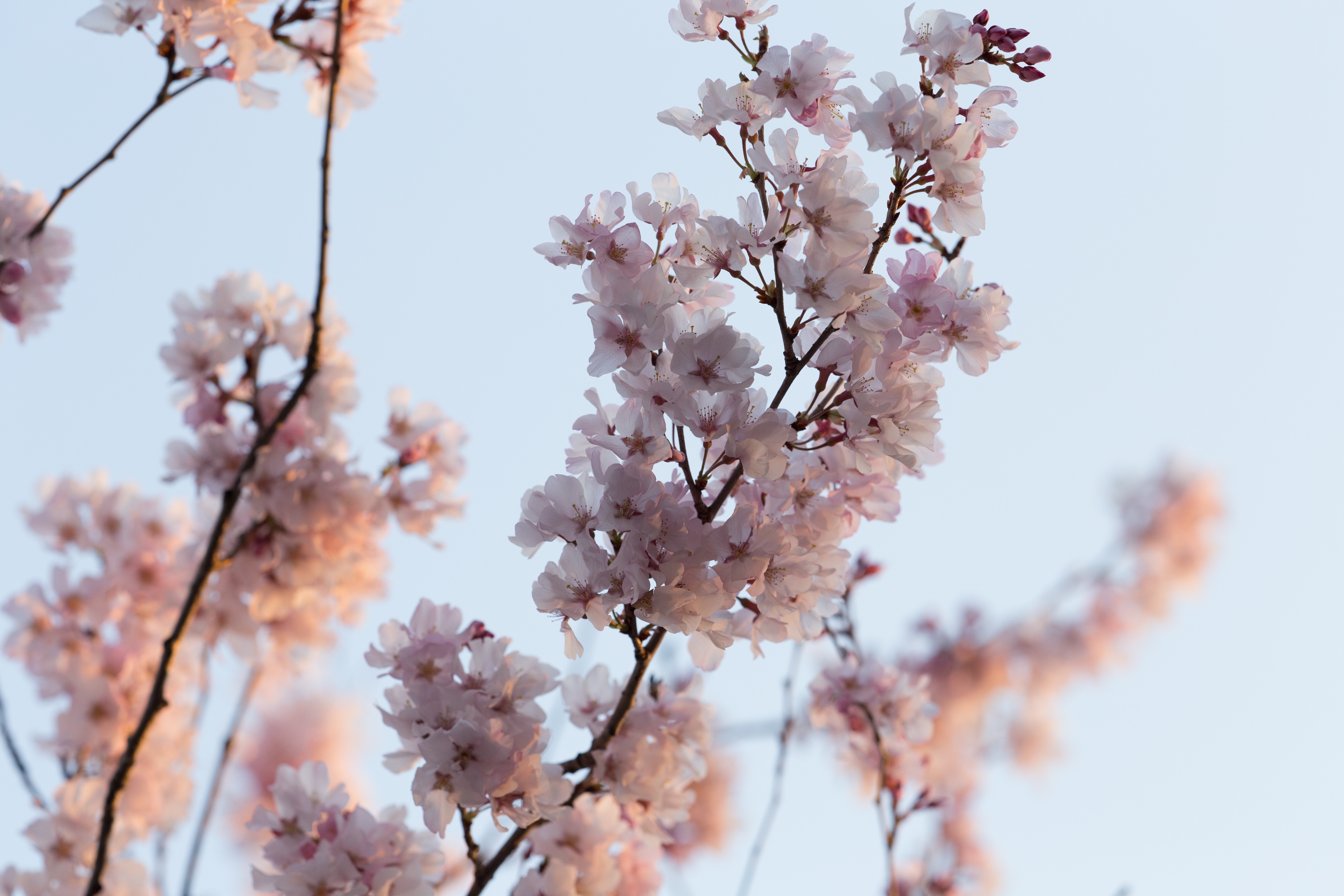 spring tech upgrades