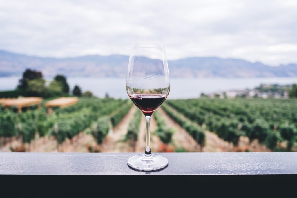 Why Paso Robles should be your next wine-cation destination
