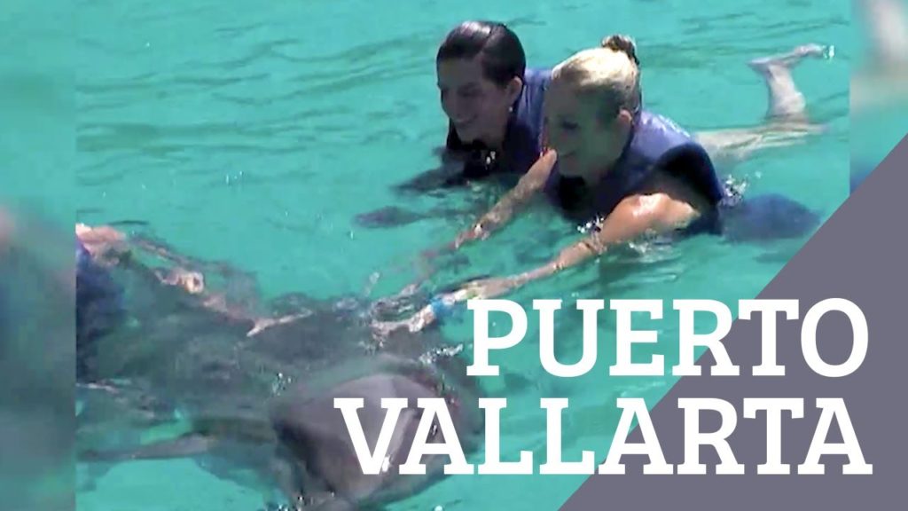 Puerto Vallarta Staycation