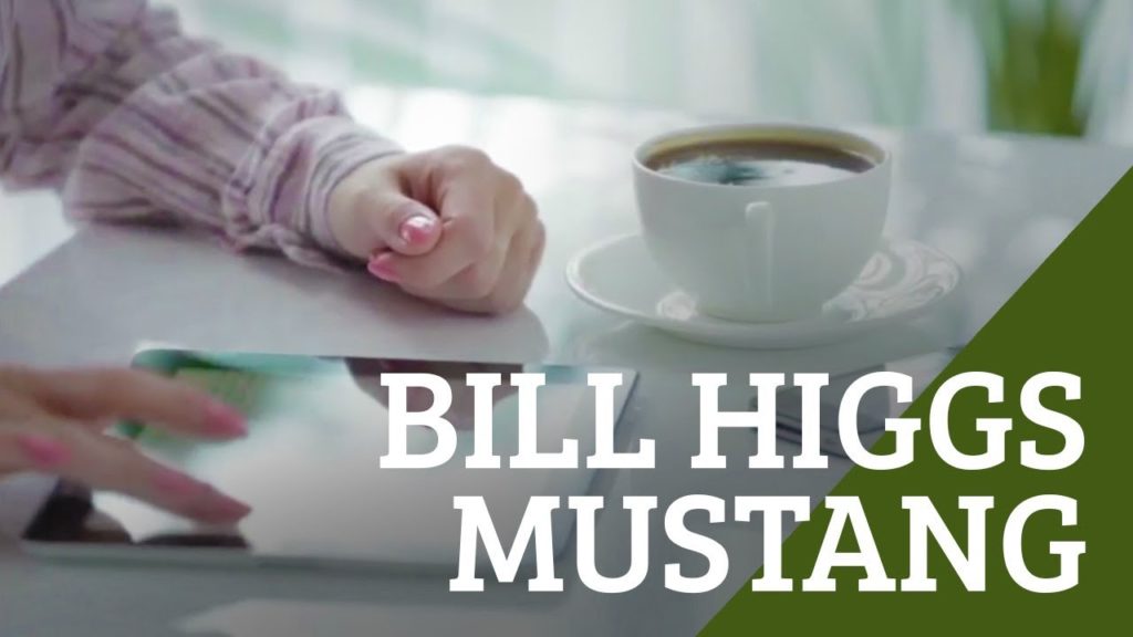 From Humble Beginnings to Success – Mustang The Story