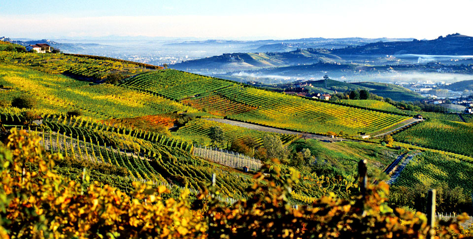 Take a trip to Paso Robles for its Charming Downtown Area and Delicious Wines.