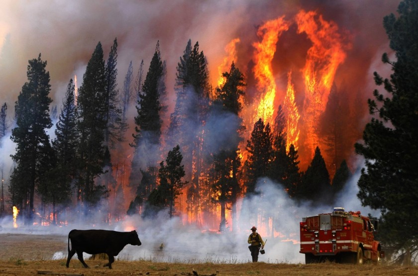 Could coronavirus collide with wildfire season?