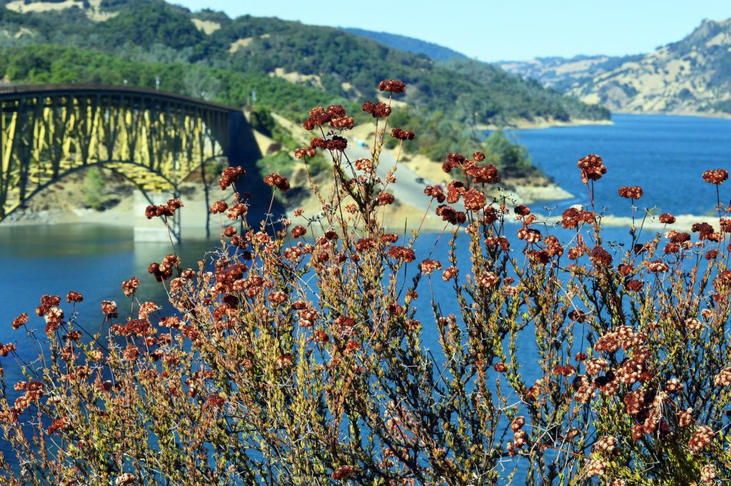What’s New in Sonoma County: July 2020