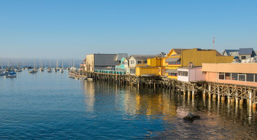 Spotlight: Monterey