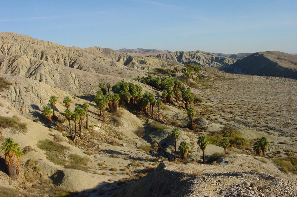 Desert X