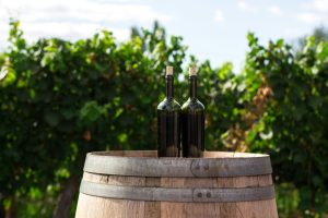 Discover Lloyd Cellars & Prescription Vineyards: Bold, California-Born Wines