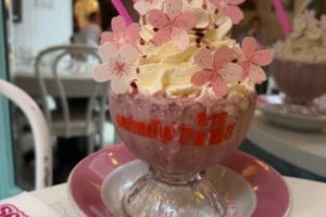 Sip Into Spring: A Cherry Blossom Dream Comes to Life in NYC