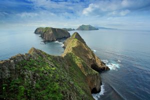 A FRONT-ROW SEAT TO CALIFORNIA’S MARINE LIFE