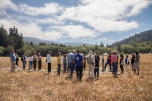 WHERE ANCIENT FORESTS MEET INDIGENOUS STORIES